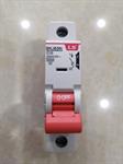 MCB LS 1P 10A 6kA ( BKJ63N )